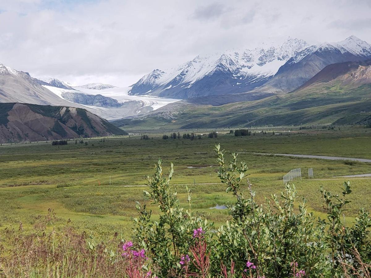 Denali Wild Stay - Moose Cabin, Free Wifi, 2 Private Bedrooms, Sleep 6 希利 外观 照片