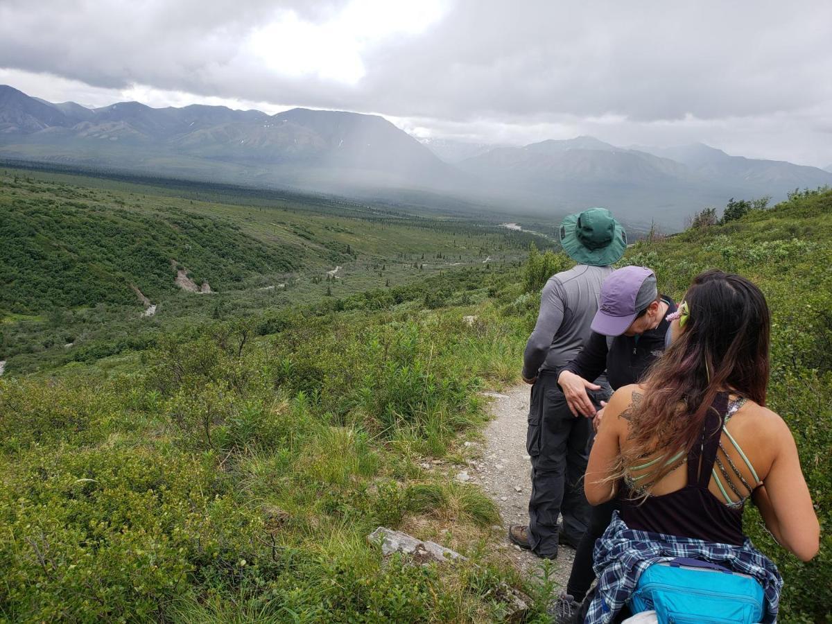 Denali Wild Stay - Moose Cabin, Free Wifi, 2 Private Bedrooms, Sleep 6 希利 外观 照片