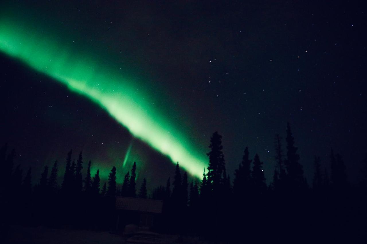 Denali Wild Stay - Moose Cabin, Free Wifi, 2 Private Bedrooms, Sleep 6 希利 外观 照片