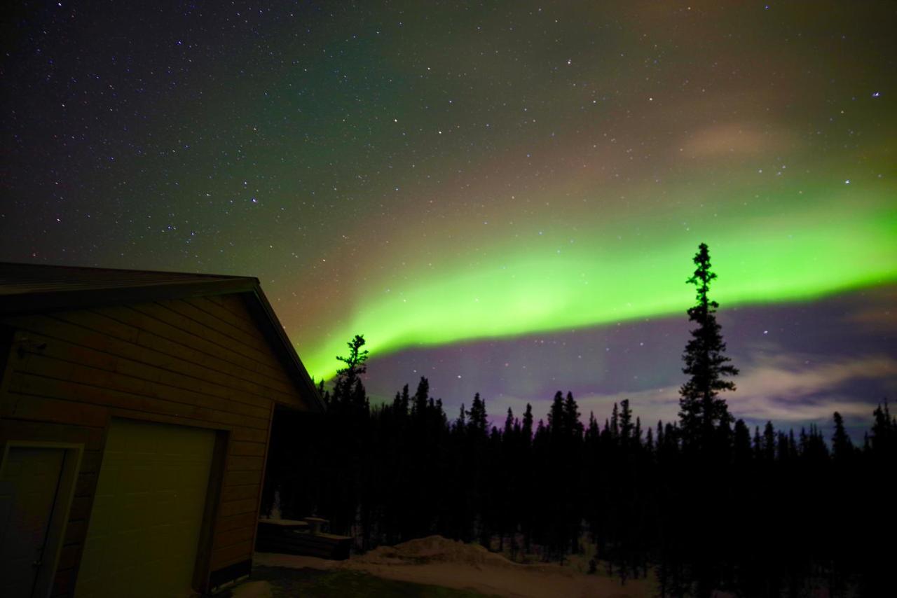 Denali Wild Stay - Moose Cabin, Free Wifi, 2 Private Bedrooms, Sleep 6 希利 外观 照片