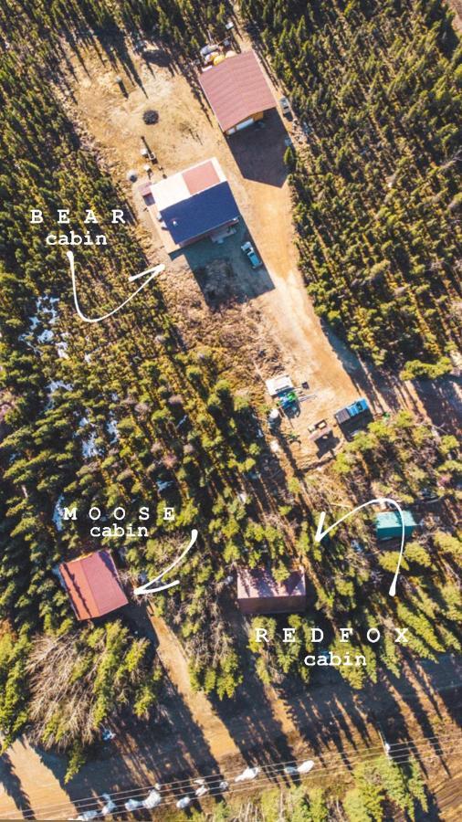 Denali Wild Stay - Moose Cabin, Free Wifi, 2 Private Bedrooms, Sleep 6 希利 外观 照片