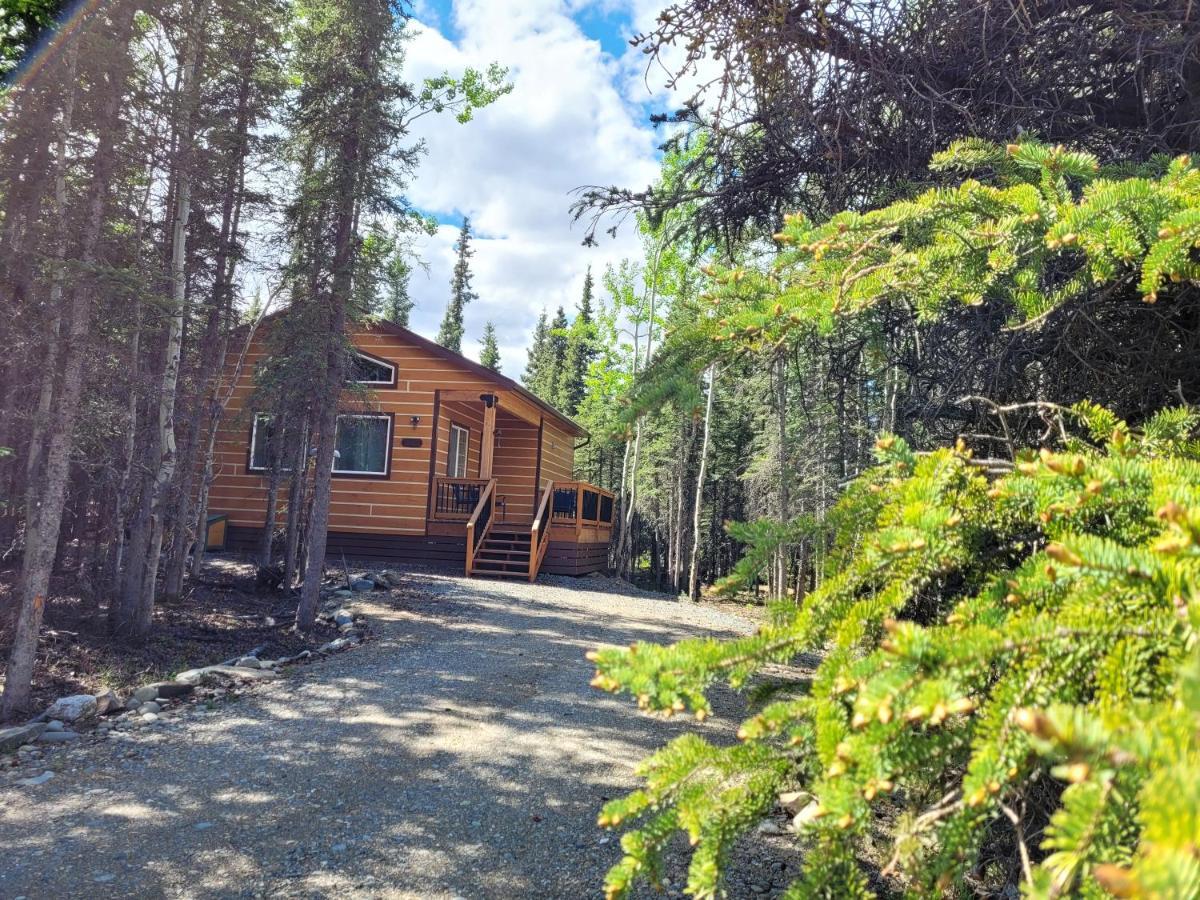 Denali Wild Stay - Moose Cabin, Free Wifi, 2 Private Bedrooms, Sleep 6 希利 外观 照片